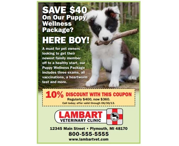 Print advertisement for Veterinarian Services