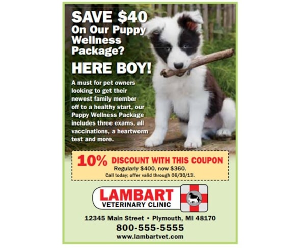 Print advertisement for Veterinarian Services