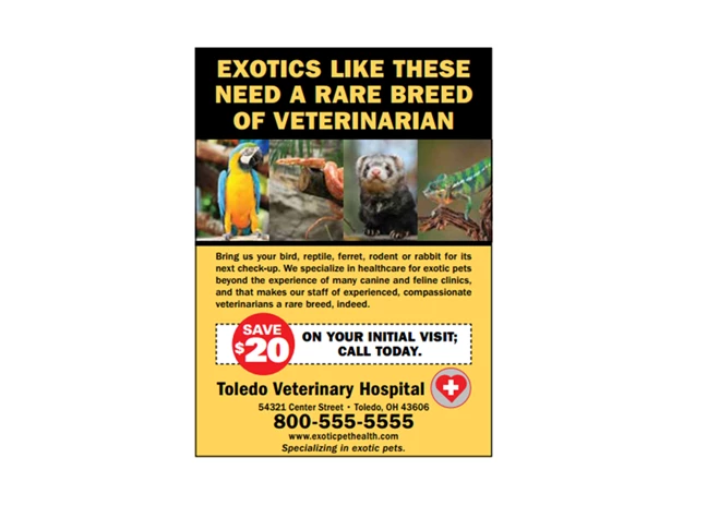 Veterinary Print Advertisement