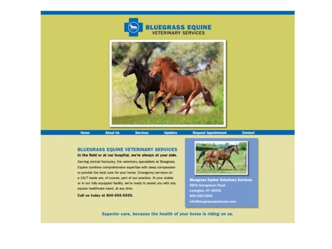 Optimized Custom Veterinarian Website