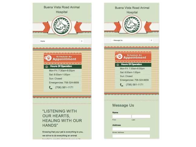 Optimized Custom Veterinarian Website