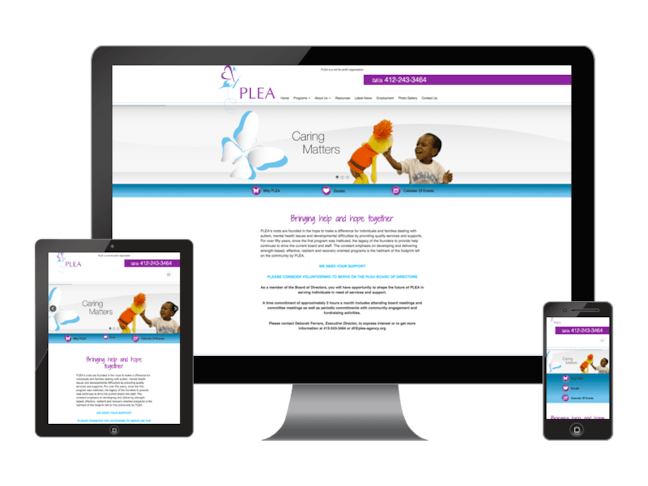 Nonprofit Organization Donor Building Website
